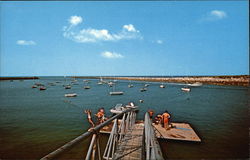 Outer Sesuit Harbor Postcard