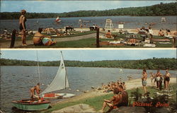 Pickerel Point Tenting Area Promised Land State Park Greentown, PA