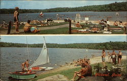 Pickerel Point Tenting Area Promised Land State Park Greentown, PA Postcard Postcard