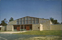 Doris Pike White Auditorium-Gymnasium Grant, AL Postcard Postcard
