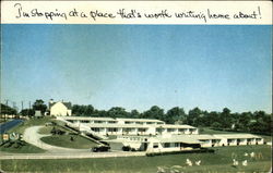 Thoroughbred Motor Court Postcard