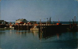 The New Million Dollar Pier Postcard