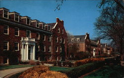 University of New Hampshire - Commons Row Postcard