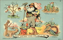 What Some Folks Think Cape Cod is Like What Some Folks Think Cape Cod is Like