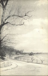 The River Drive Postcard