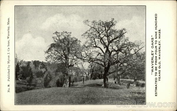 Waverley Oaks Massachusetts