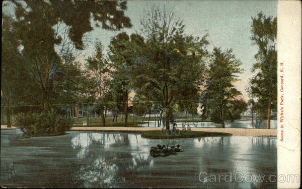Scene in White's Park Concord New Hampshire