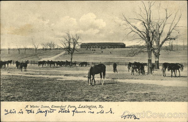 Winter Scene, Elmendorf Farm Lexington Kentucky