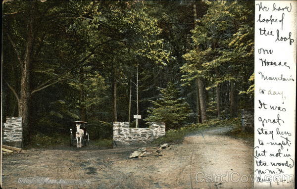 Loop in woods Greenfield Massachusetts