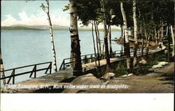 Lake Sunapee New Hampshire Postcard Postcard