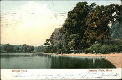 Jamaica Pond Jamaica Plain, MA Postcard Postcard