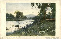 A Branch of the Farmington, Colebrook River Postcard