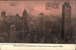 Skeletons of the doomed in San Francisco, April, 1906 Postcard
