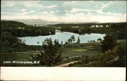 View of Lake Postcard