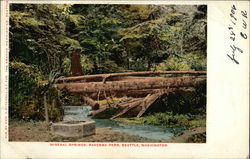 Mineral Springs, Ravenna Park Postcard