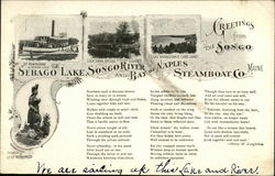 Greetings from the Songo Sebago Lake, ME Postcard Postcard