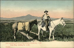 Cow Boy, Looking For A Job Postcard