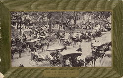 Big Day in Ross Park Postcard