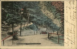 Ross Park Binghamton, NY Postcard Postcard