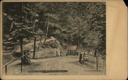 Ross Park Postcard