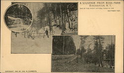A Souvenir from Ross Park Postcard