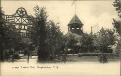 Casino Park Binghamton, NY Postcard Postcard