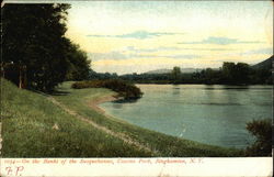 Banks of the Susquehanna, Casino Park Binghamton, NY Postcard Postcard