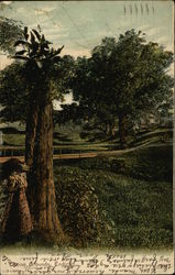 Casino Grounds Postcard