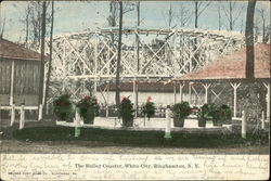 The Roller Coaster, White City Postcard