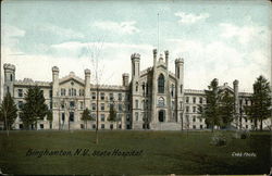 State Hospital Binghamton, NY Postcard Postcard
