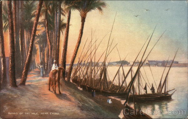 Banks of the Nile Cairo Egypt Africa