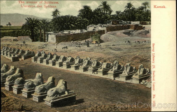 The avenue of Sphinxes. L'avenue des Sphinxs Karnak Egypt