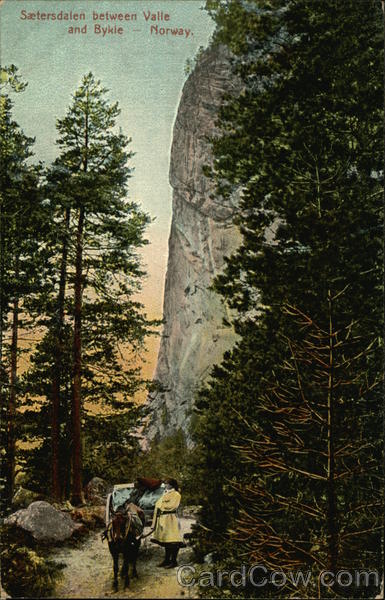 Saetersdalen Valle Norway
