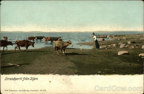 Strandparti fran Siljan Sweden