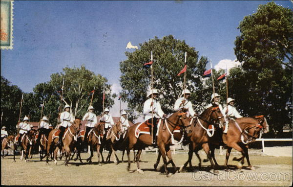 Mounted Police Barbados Caribbean Islands