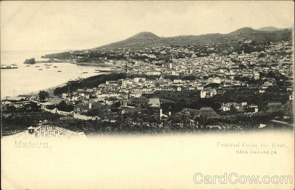 View over Town from East Funchal Madeira Portugal