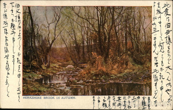 Berkshire Brook in Autum Japan