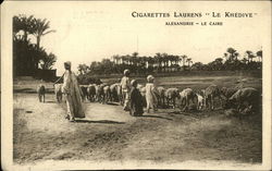 Cigarettes Laurens "Le Khédive" Alexandrie - Le Caire Postcard