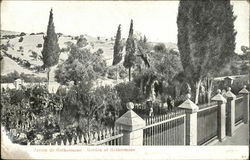 Jardin de Gethsémane - Garden of Gethsemane Postcard