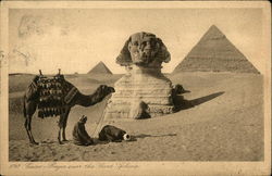 Pyramids and Sphinx Postcard