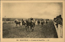 Grand Prix Horse Race Postcard