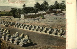 The avenue of Sphinxes. L'avenue des Sphinxs Postcard