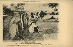 Gambia River Postcard