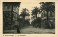 Genova-Nervi - Viale delle Palme Italy Postcard Postcard