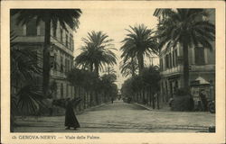 Genova-Nervi - Viale delle Palme Postcard