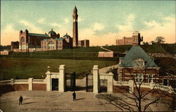 New University New University