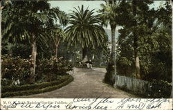 Madeira Gardim Publico Postcard