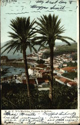 Madeira, Camara de Lobos Postcard