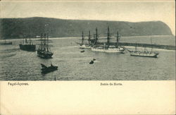 Fayal-Açores, Bahia da Horta Postcard