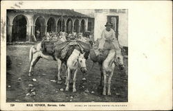 Milk vender, Havana, Cuba Postcard